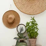 Casa A Mezz' Aria Dimora D'epoca بيت للعطل *